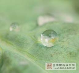 防水劑VARIPHOB AC1104圖片