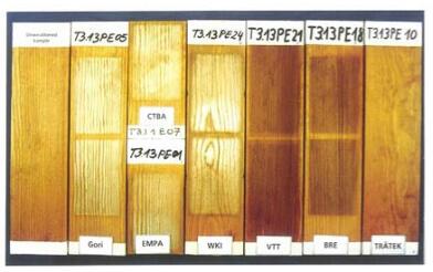 照片1：在7種暴露循環(huán)結(jié)束時的涂料系統(tǒng)E