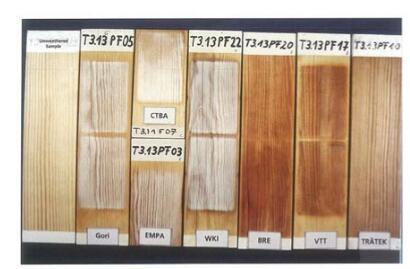 照片2：在7種暴露循環(huán)結(jié)束時的涂料系統(tǒng)F