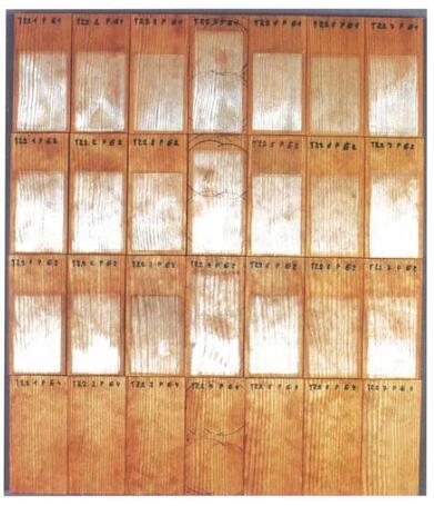 照片3：在優(yōu)化循環(huán)結(jié)束時的涂料系統(tǒng)E