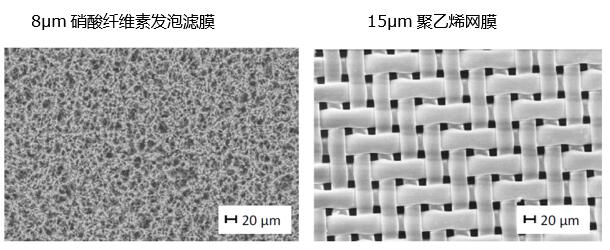 圖4：發(fā)泡濾膜和網(wǎng)膜的結(jié)構(gòu)對比